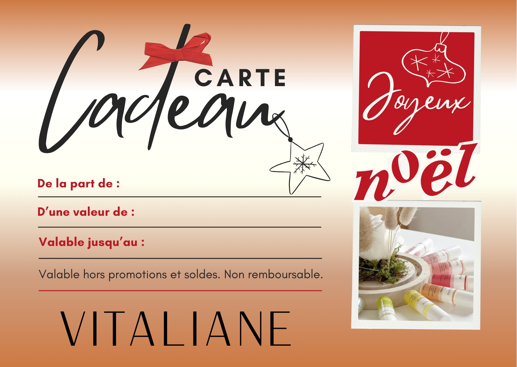 Carte cadeau de noël