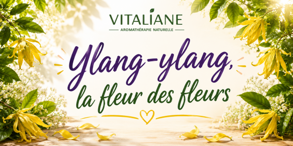 Ylang-ylang, la fleur des fleurs