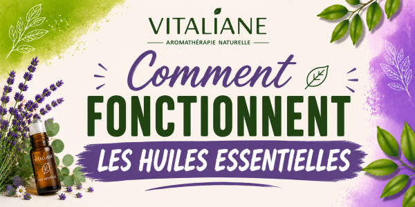 Comment fonctionnent les huiles essentielles
