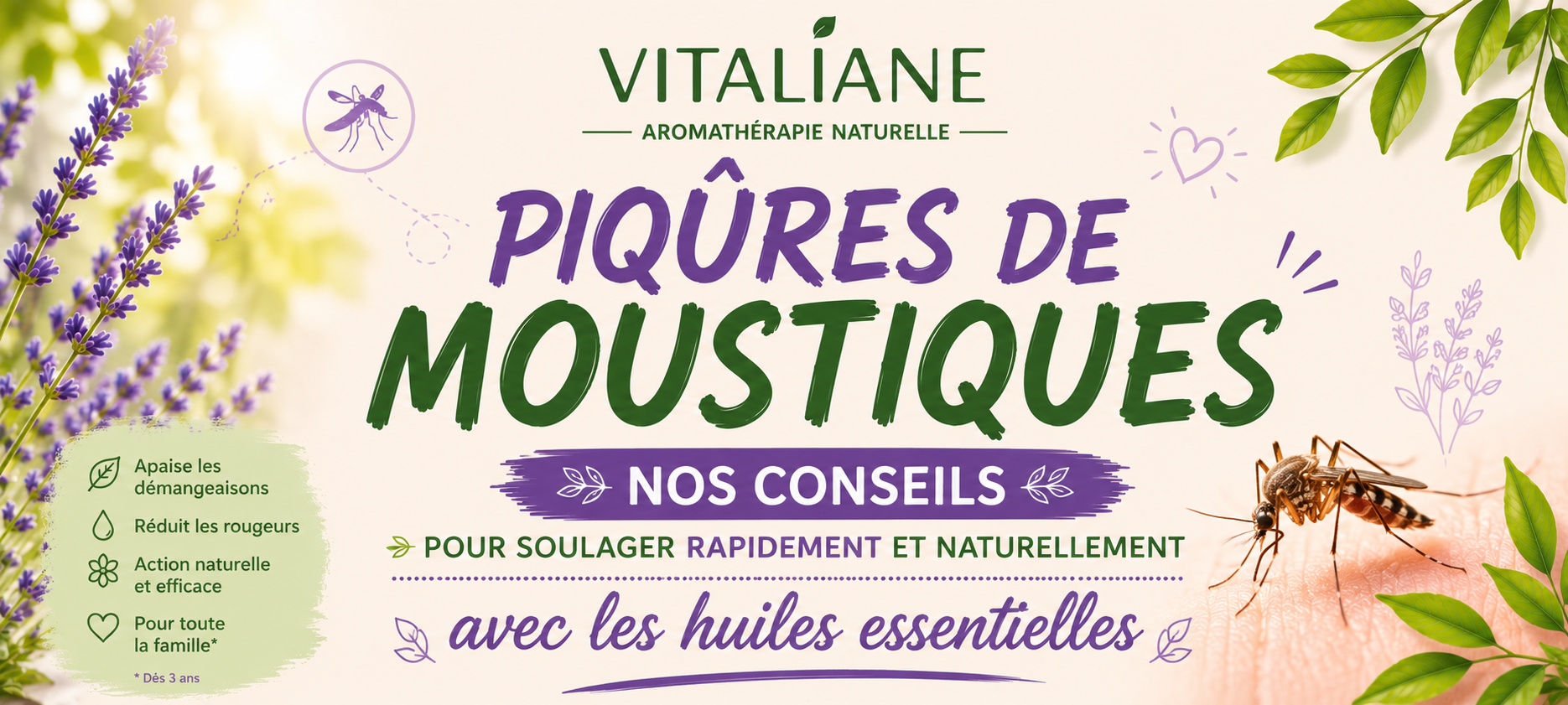 Piqures de moustiques : Nos Conseil pour soulager rapidement et naturellement avec les huiles essentielles